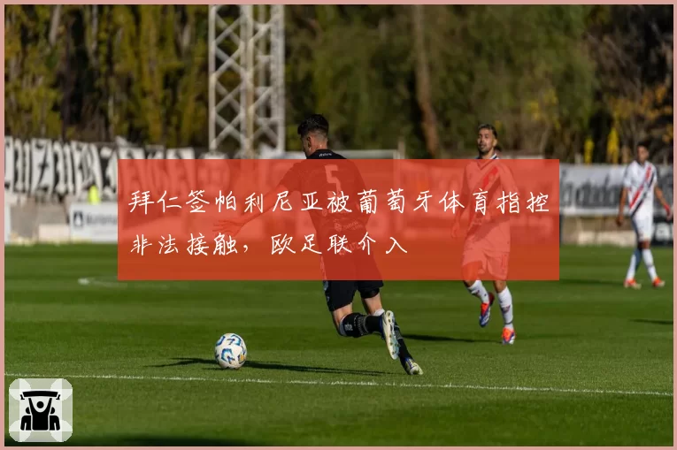 拜仁签帕利尼亚被葡萄牙体育指控非法接触，欧足联介入